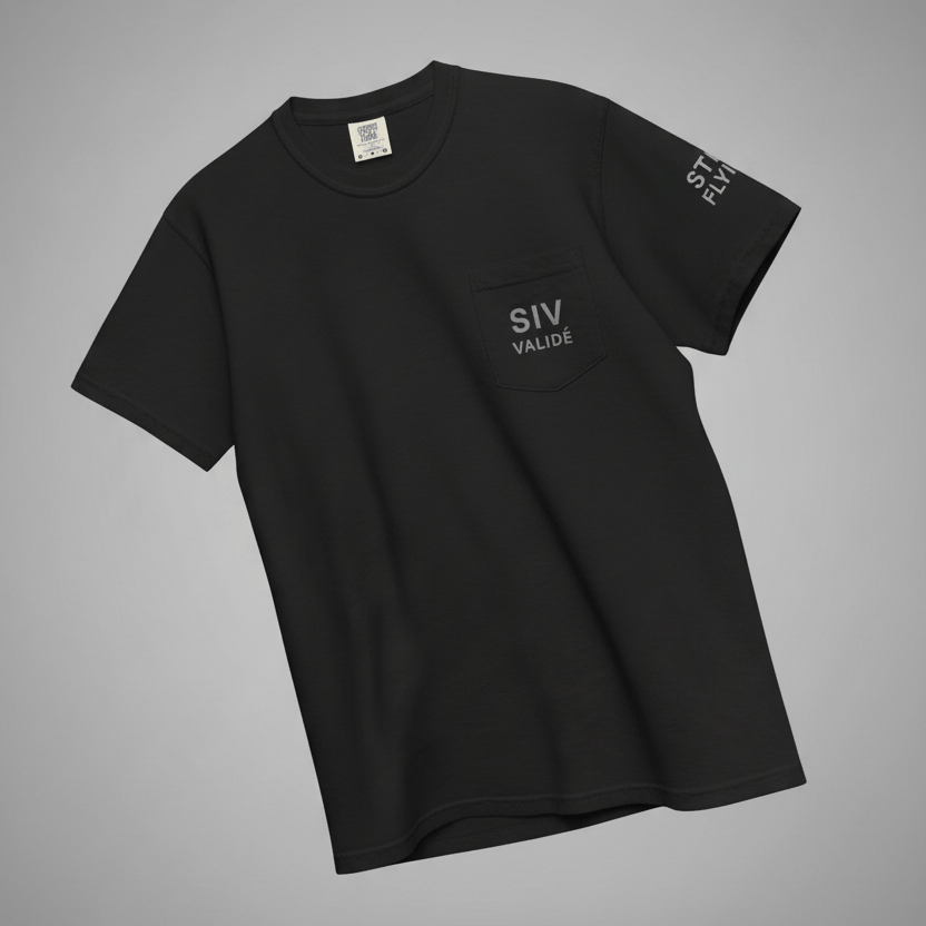 LAUNCH & FLIGHT CO. SIV Validé | Passed the Process